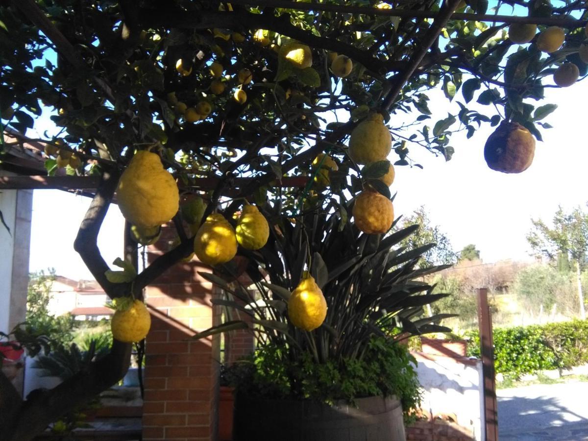 B&B La Porta Del Cilento 卡帕乔-帕埃斯图姆 外观 照片