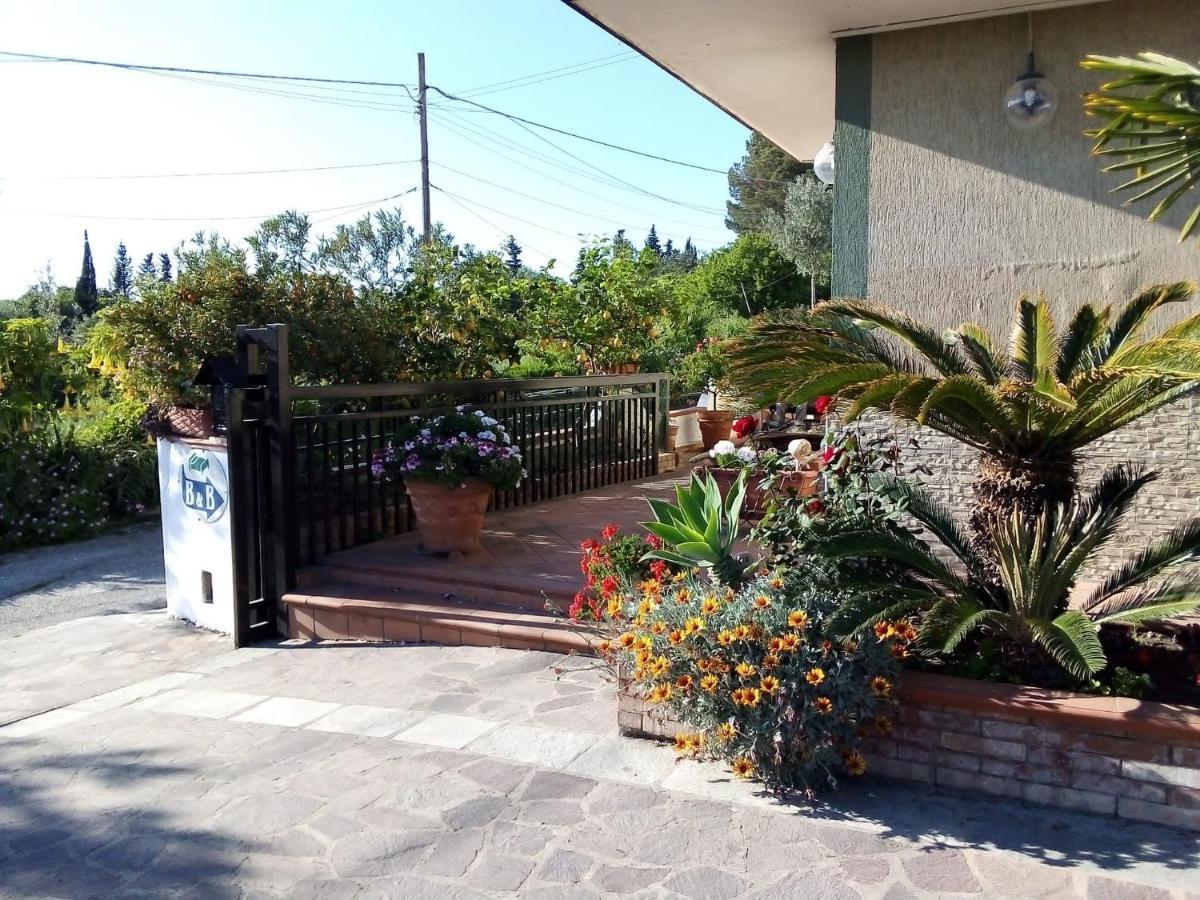 B&B La Porta Del Cilento 卡帕乔-帕埃斯图姆 外观 照片