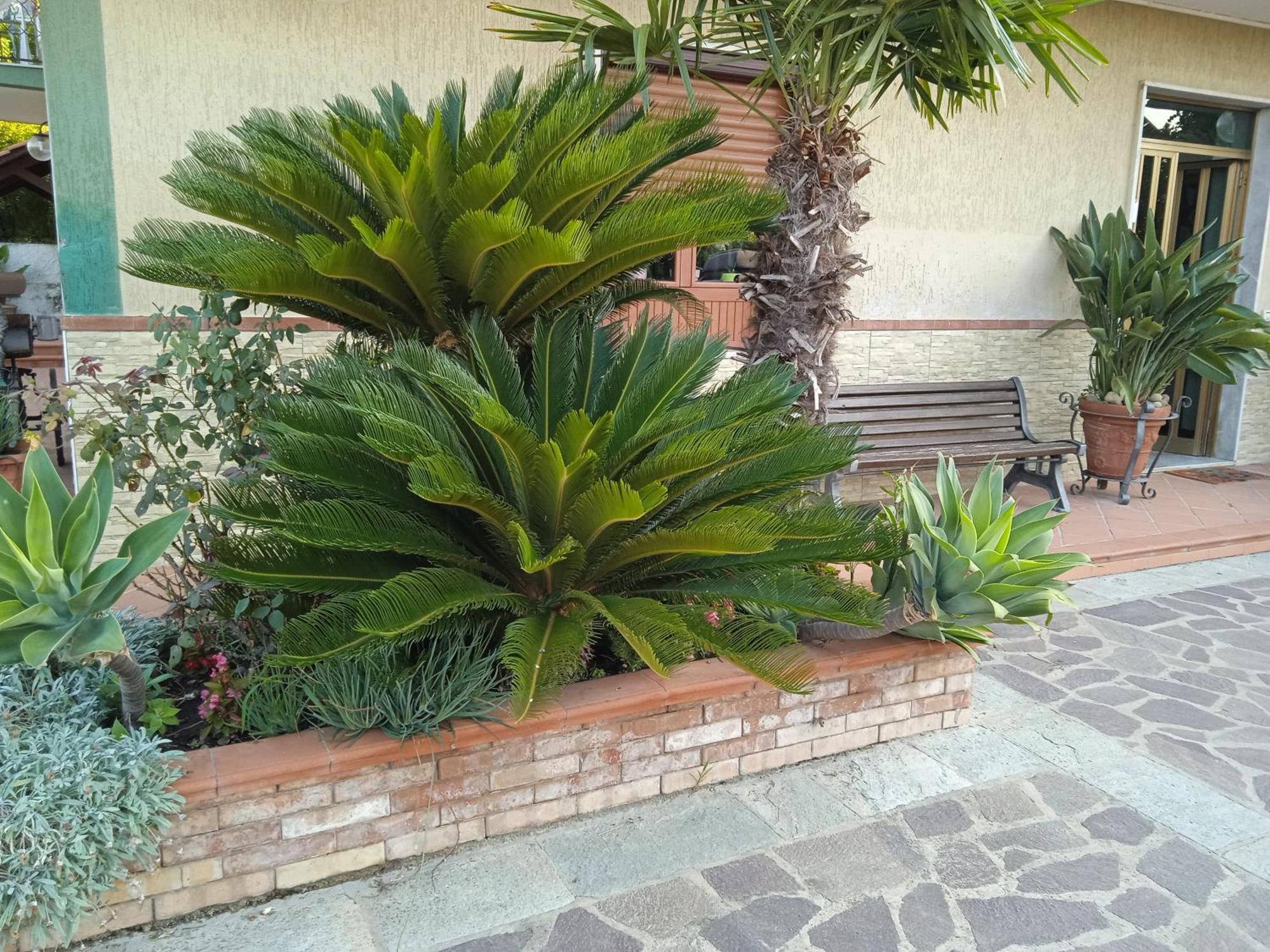 B&B La Porta Del Cilento 卡帕乔-帕埃斯图姆 外观 照片